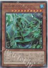 BACH-JP006 UL 氷水帝コスモクロア