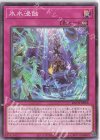  BACH-JP066 N 氷水浸蝕 