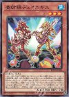  BLVO-JP034 N 黄紡鮄デュオニギス 