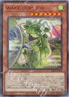 BLZD-JP028 NR WAKE CUP！ クロ