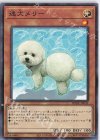  BODE-JP035 NR 迷犬メリー 
