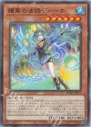 BPRO-JP011 N 耀聖の波詩ディーナ