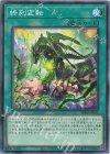 BPRO-JP055 N 終刻変転