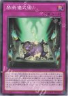 BPRO-JP077 N 禁断儀式術