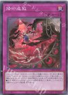 CH01-JP035 N 烙印追放
