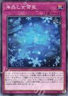  CHIM-JP067 N 海晶乙女雪花 