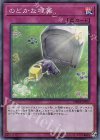  CHIM-JP077 SR のどかな埋葬 