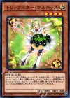  CIBR-JP004 N トリックスター・ナルキッス 