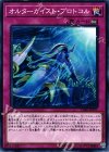  CIBR-JP071 N オルターガイスト・プロトコル 