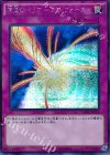 CORE-JP076 SE 神風のバリア -エア・フォース-