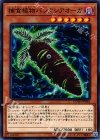  COTD-JP016 N 捕食植物バンクシアオーガ 