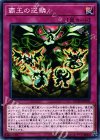  COTD-JP070 N 覇王の逆鱗 