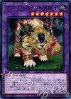  CP17-JP022 N アマゾネスペット虎獅子 