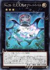 CP19-JP030 NR No.26 次元孔路オクトバイパス