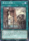  CP20-JP013 N 標本の閲覧 