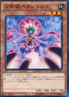  CPD1-JP031 N 占術姫ペタルエルフ 