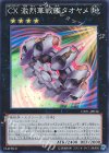 CPZ1-JP036 SR CX 激烈華戦艦タオヤメ