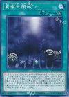 CROS-JP086 N 真帝王領域 