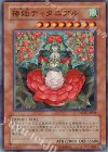 CSOC-JP029 SR 椿姫ティタニアル