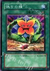  CSOC-JP046 N 偽りの種 