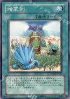  CSOC-JP057 N 増草剤 