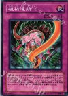  CSOC-JP076 N 植物連鎖 