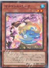  CYAC-JP014 N マナドゥム・ミーク 