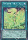  CYAC-JP062 N 御巫舞踊-迷わし鳥 