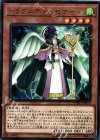  CYHO-JP016 R ドラグニティ-セナート 