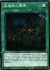 CYHO-JP060 N 星遺物の醒存