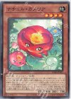  DABL-JP021 N ナチュル・カメリア 