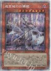  DABL-JP030 PSE 迷宮城の白銀姫 