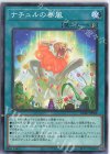  DABL-JP064 N ナチュルの春風 