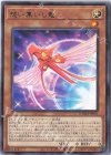  DAMA-JP001 R 想い集いし竜 