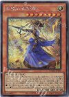  DAMA-JP009 SE 妖眼の相剣師 