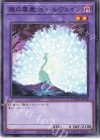  DAMA-JP038 N 無の畢竟 オールヴェイン 