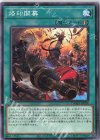 DAMA-JP054 N 烙印開幕