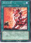 DAMA-JP055 N 烙印の絆