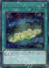  DANE-JP051 SE サイバネット・マイニング 
