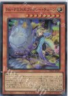  DBGC-JP005 SR No-P.U.N.K.フォクシー・チューン 