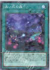  DBGC-JP034 P-N 迷い花の森 