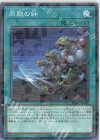  DBGC-JP041 P-N 同胞の絆 