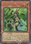 DBGV-JP001 SE セネトの啓示者-ネフェルタリ