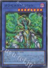DBGV-JP004 SR タウセネト・アジャト