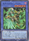 DBGV-JP005 N セネトメス・ネクベト