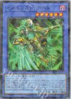 DBGV-JP005 P-N セネトメス・ネクベト