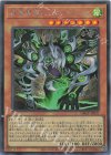 DBGV-JP037 SE 狂嵐異解△プルートニオン