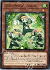  DBHS-JP014 N プランキッズ・パルス 