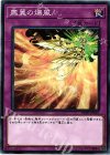  DBHS-JP045 N 鳳翼の爆風 
