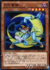  DBLE-JP011 P-N 月光蒼猫 